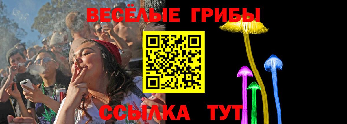 Галлюциногенные грибы мицелий Шатура